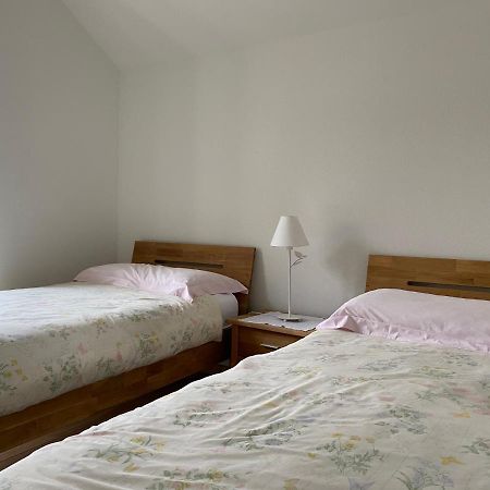 Losone - Locarno, Rustico San Giorgio 外观 照片